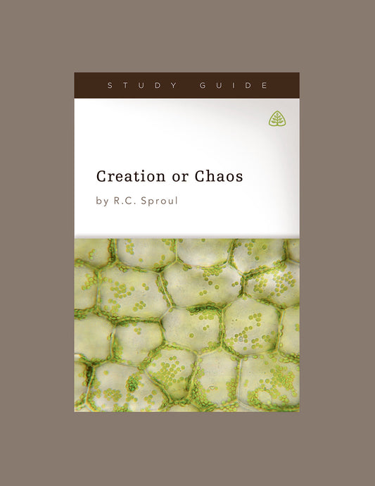 Creation or Chaos - Re-vived