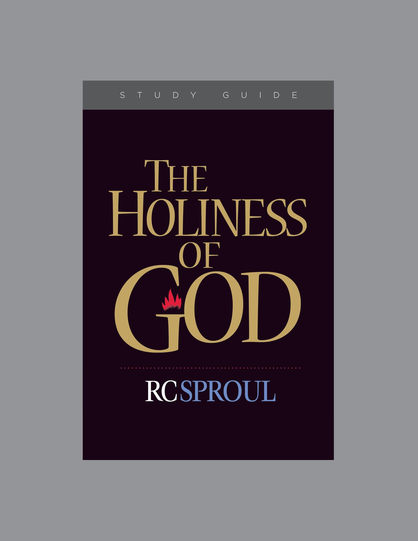 The Holiness of God Study Guide - Re-vived