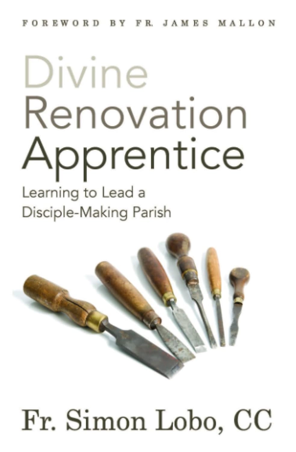 Divine Renovation Apprentice