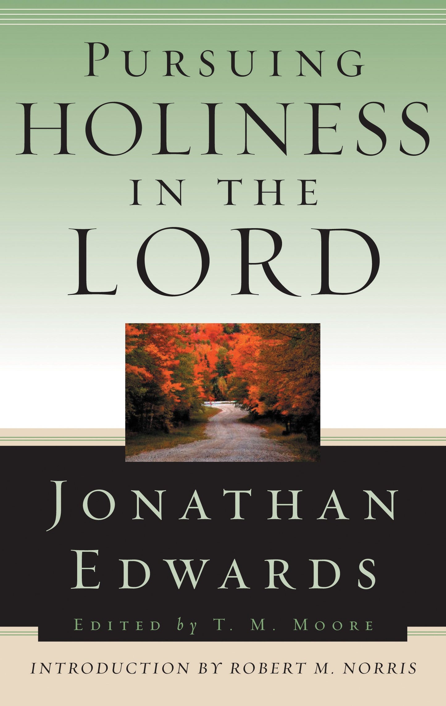 Pursuing Holiness in the Lord - Re-vived