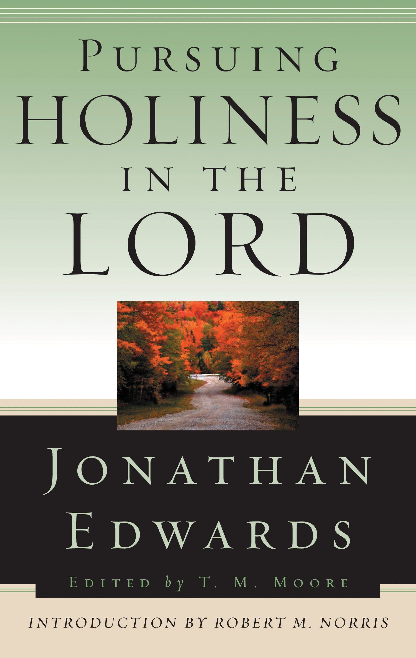 Pursuing Holiness in the Lord - Re-vived