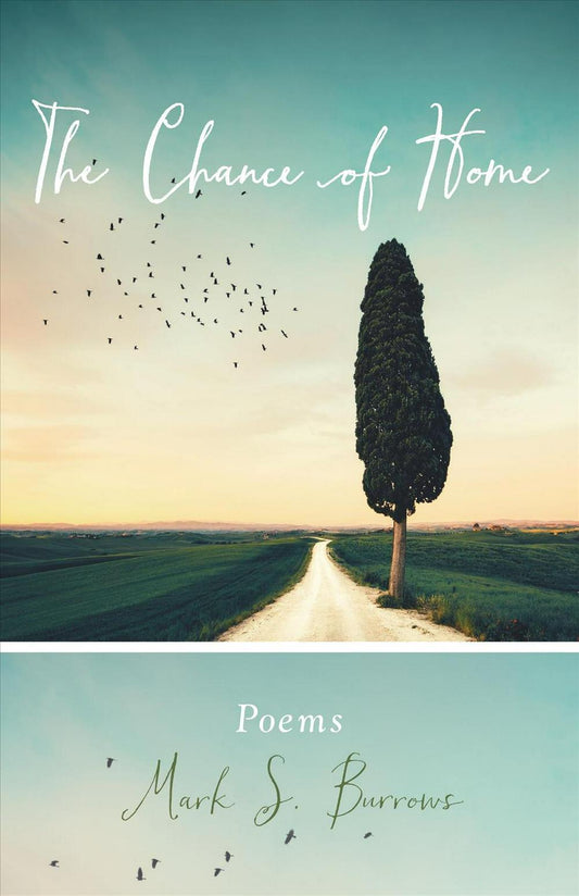 The Chance Of Home - Re-vived