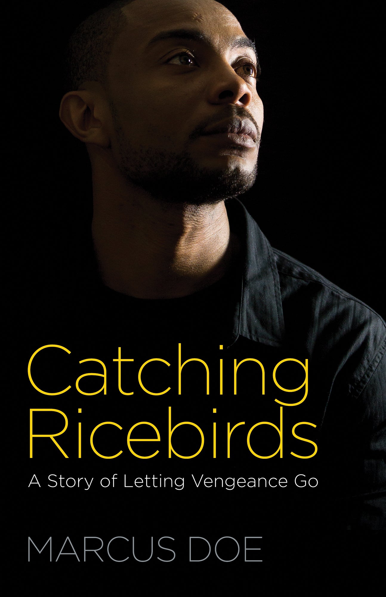 Catching Ricebirds Paperback - Re-vived