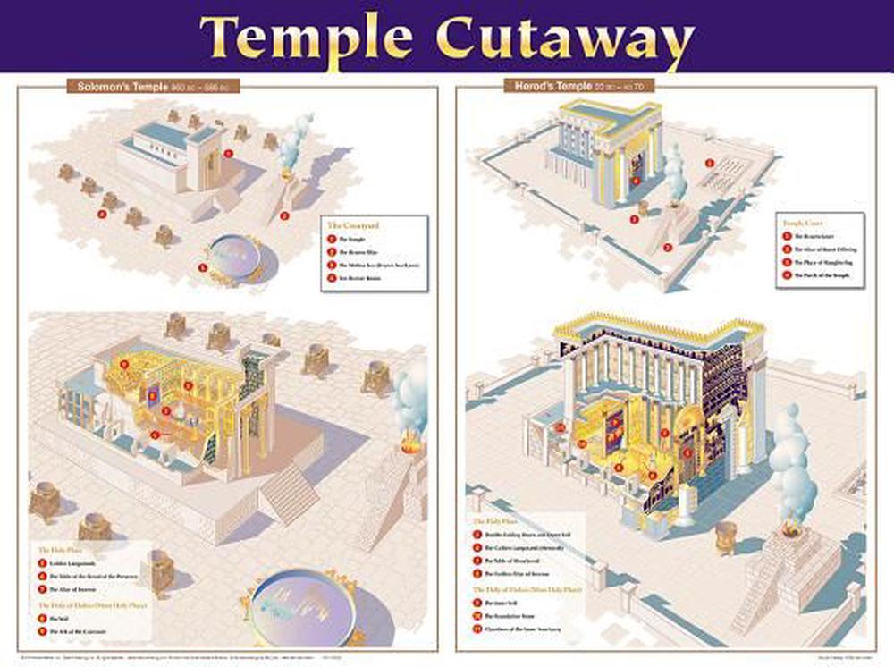 Temple Cutaway Wall Chart - Re-vived