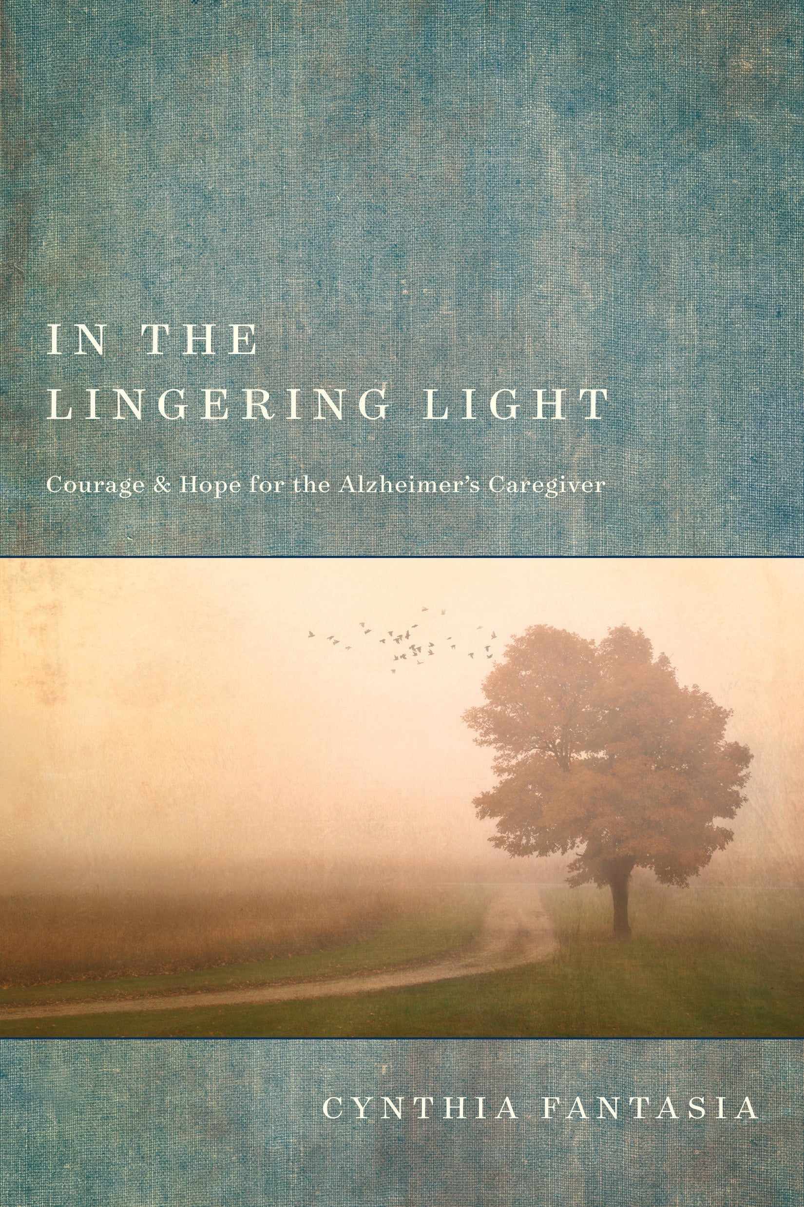 In the Lingering Light - Re-vived