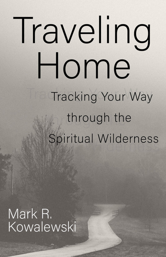 Traveling Home - Re-vived
