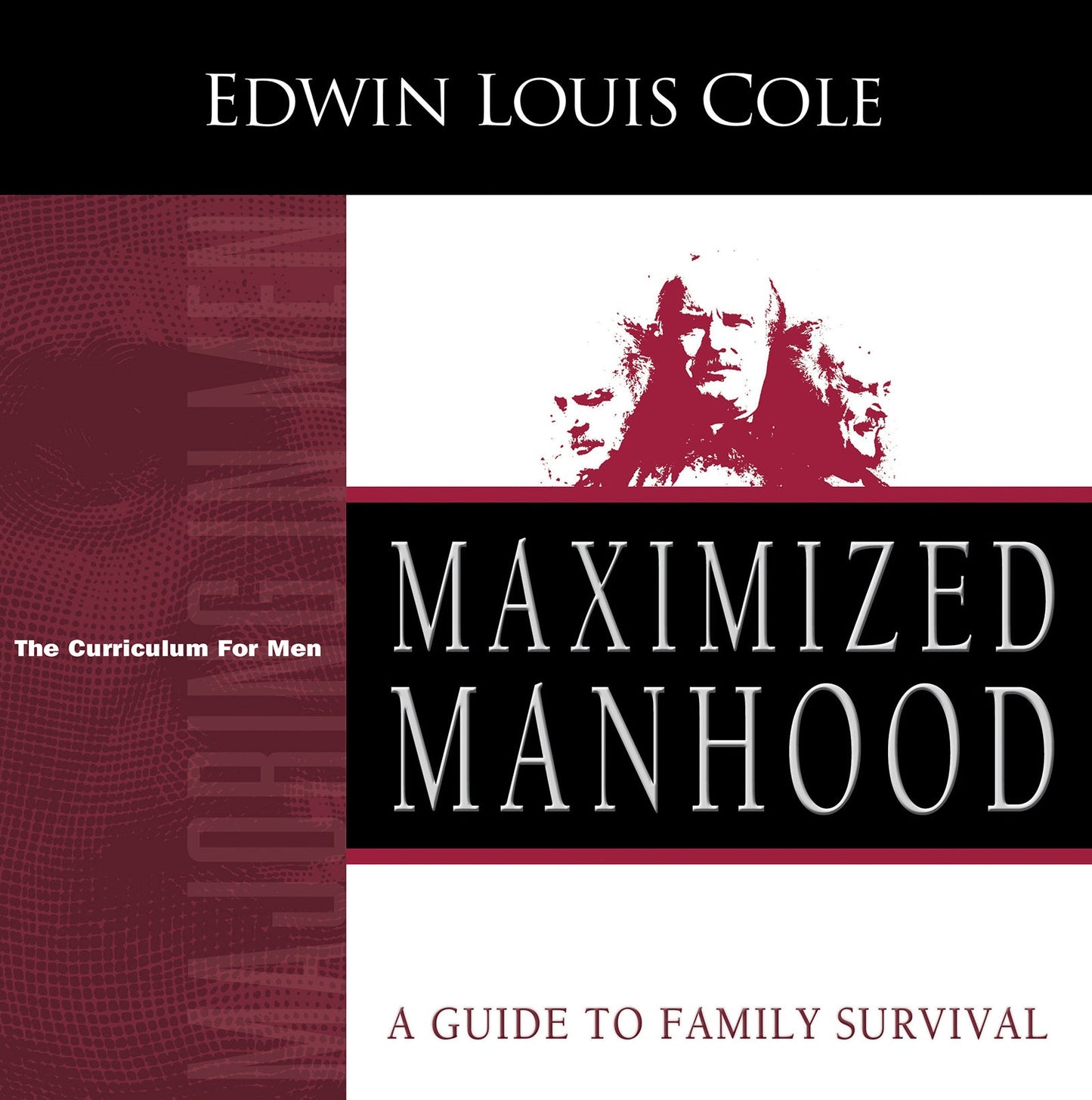 Maximized Manhood Workbook - Re-vived