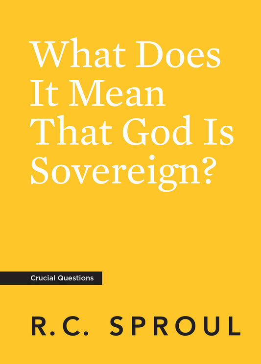 What Does It Mean That God is Sovereign? - Re-vived