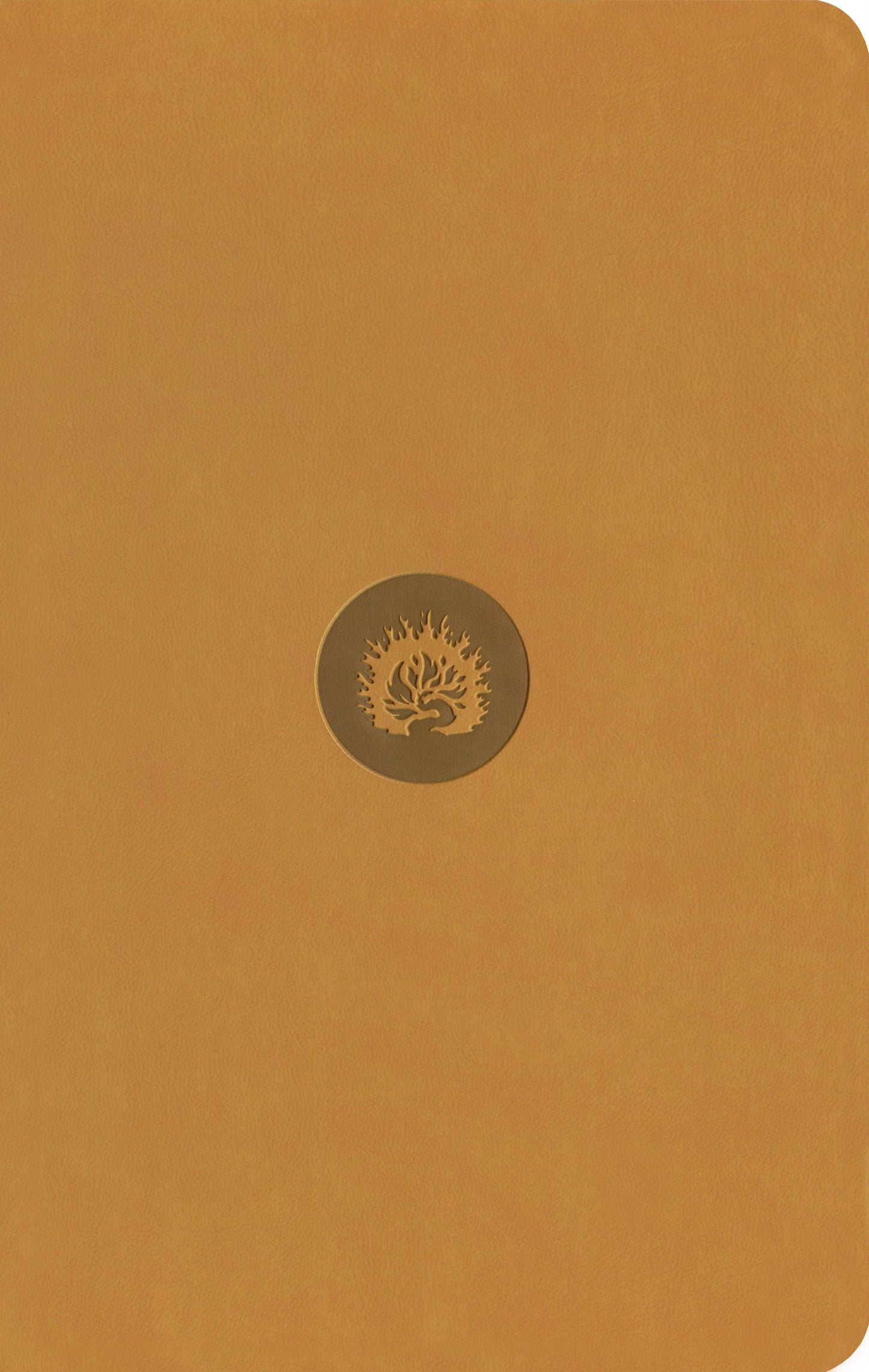 ESV Reformation Study Bible, Student Edition, Marigold - Re-vived