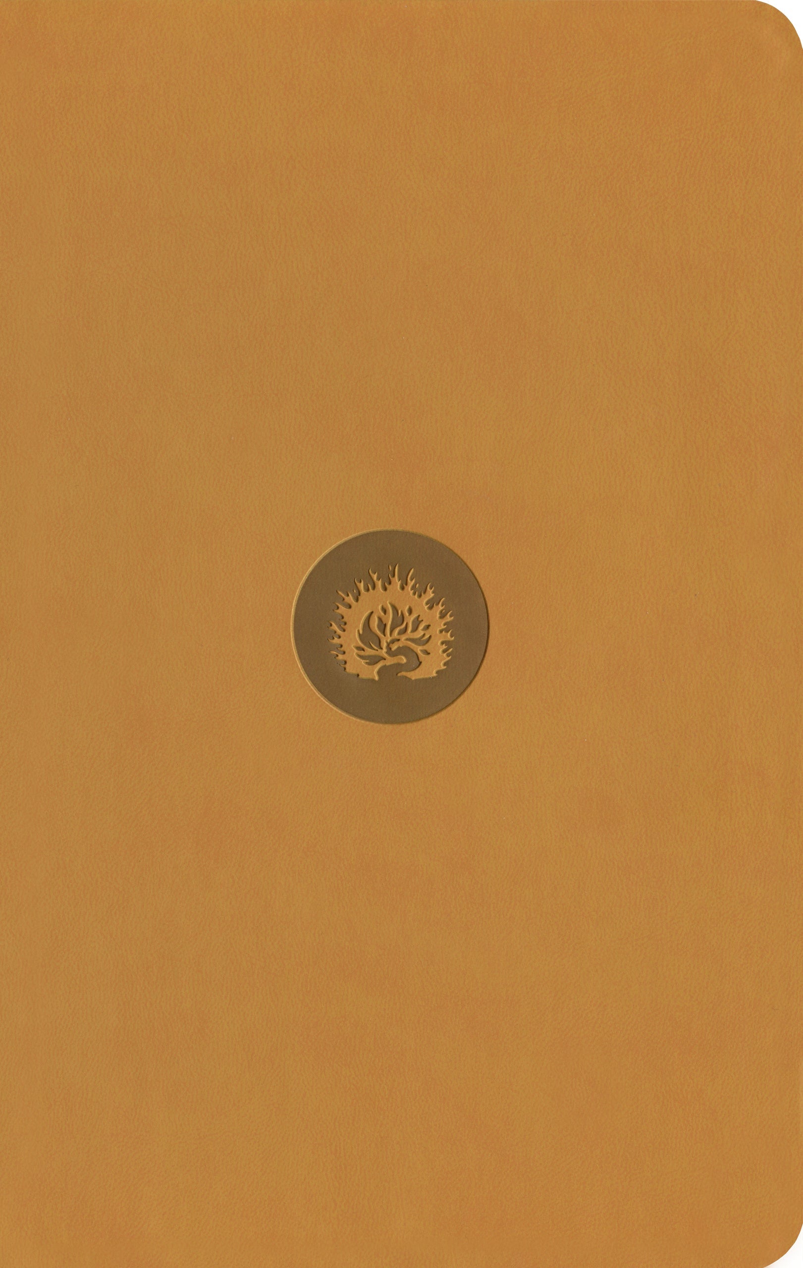 ESV Reformation Study Bible, Student Edition, Marigold - Re-vived