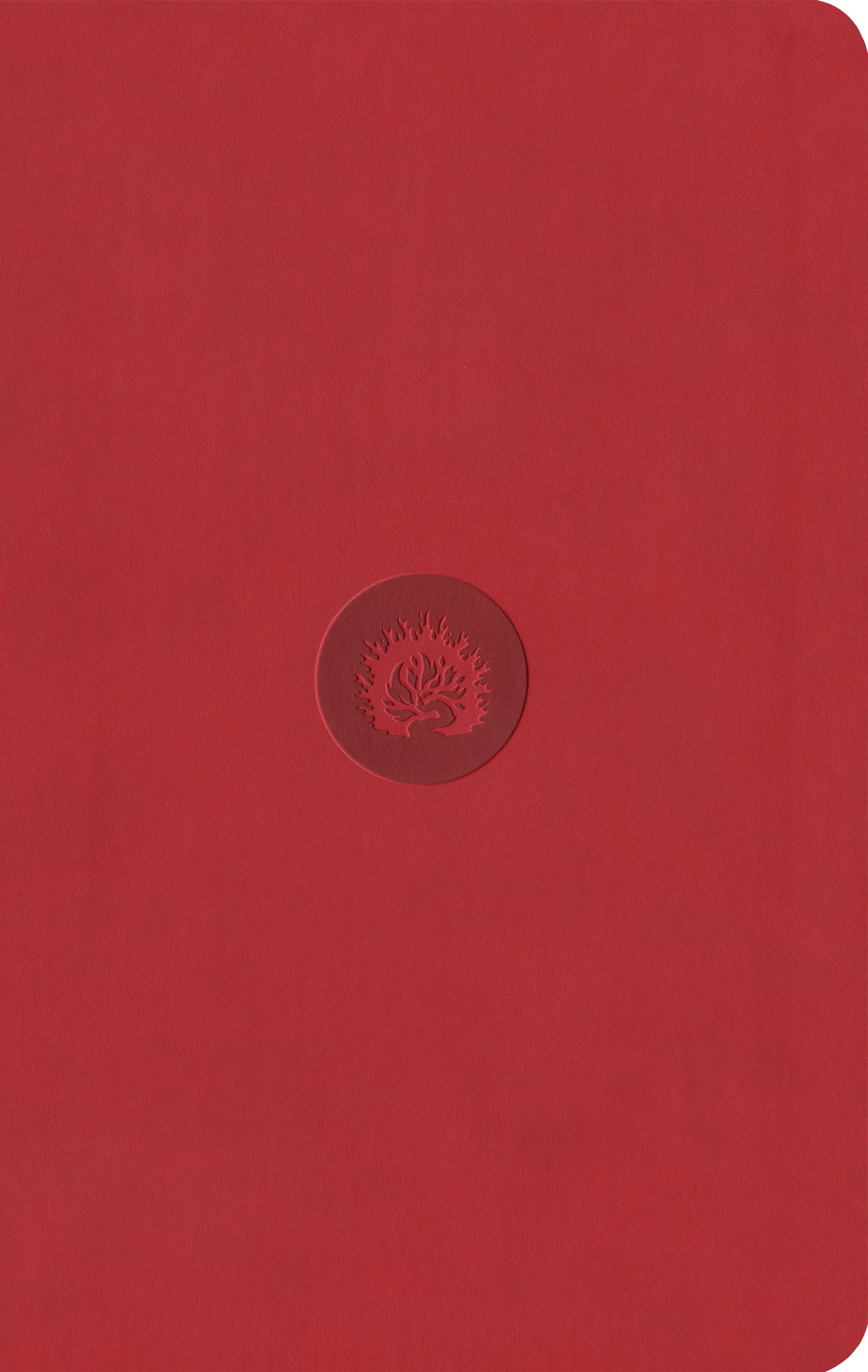 ESV Reformation Study Bible, Student Edition, Red - Re-vived