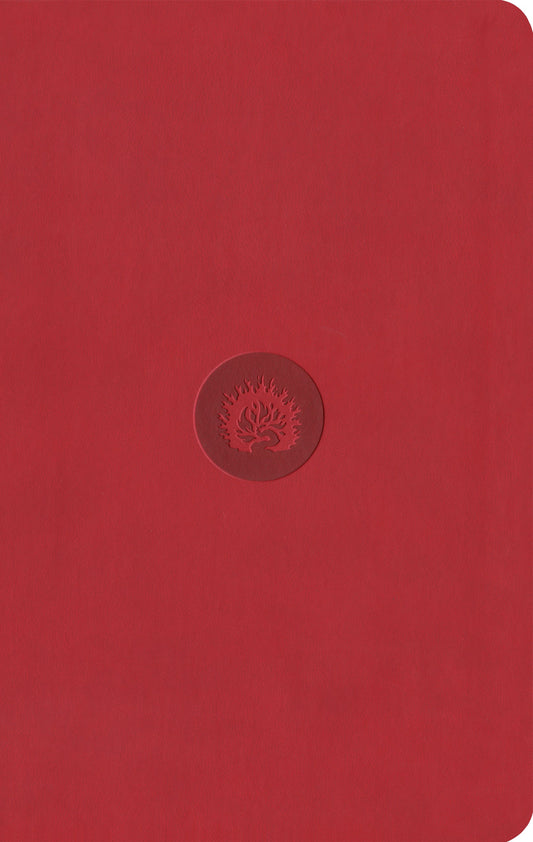 ESV Reformation Study Bible, Student Edition, Red - Re-vived