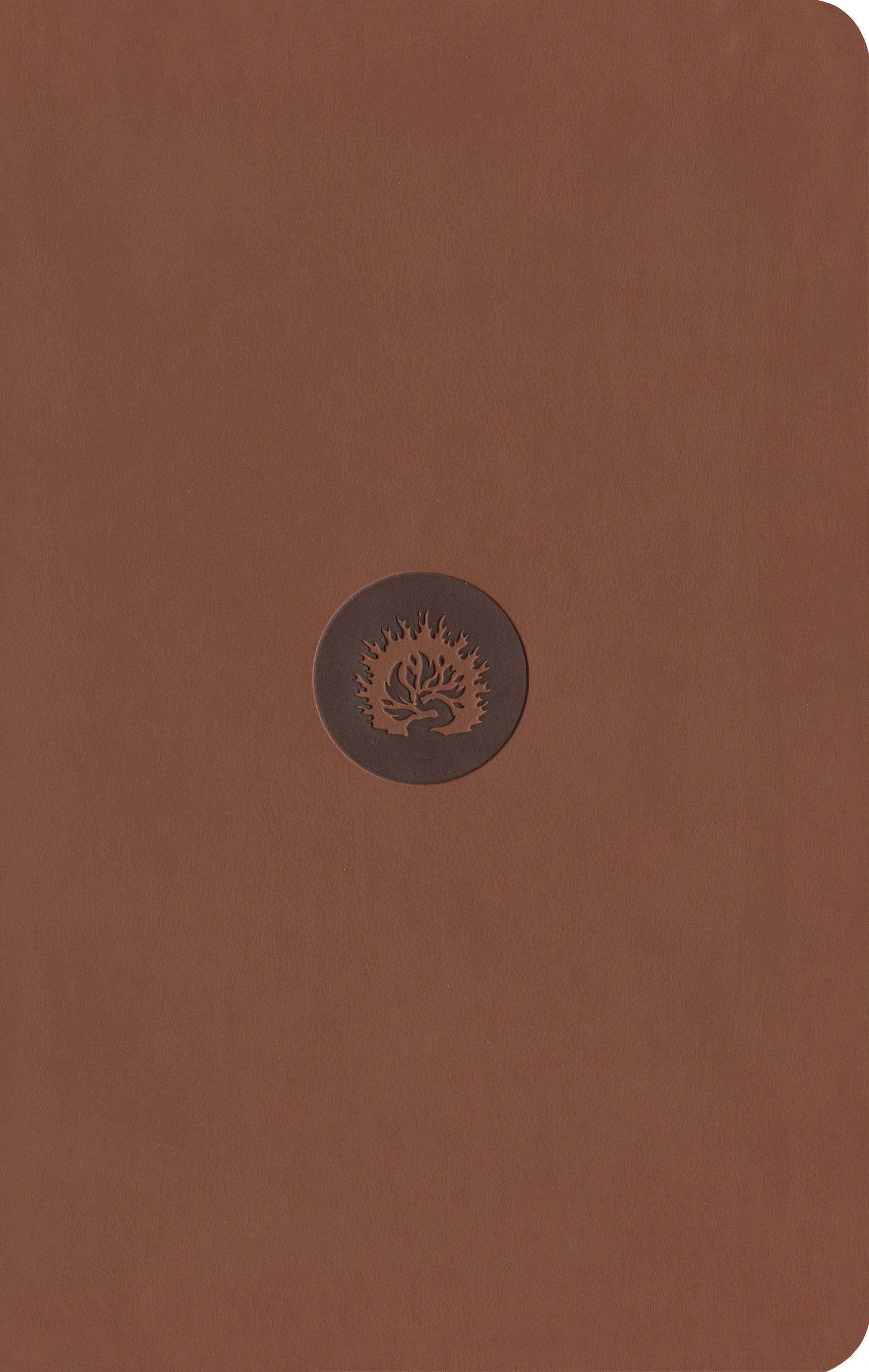 ESV Reformation Study Bible, Student Edition, Brown - Re-vived