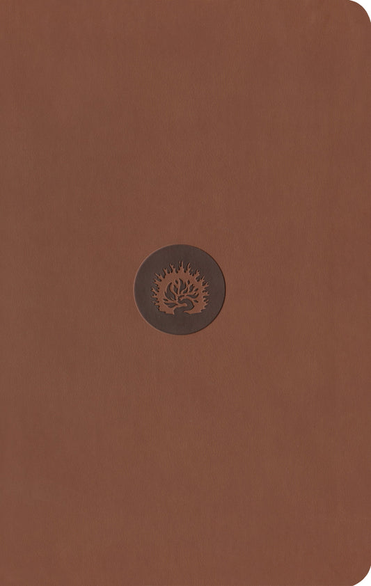 ESV Reformation Study Bible, Student Edition, Brown - Re-vived