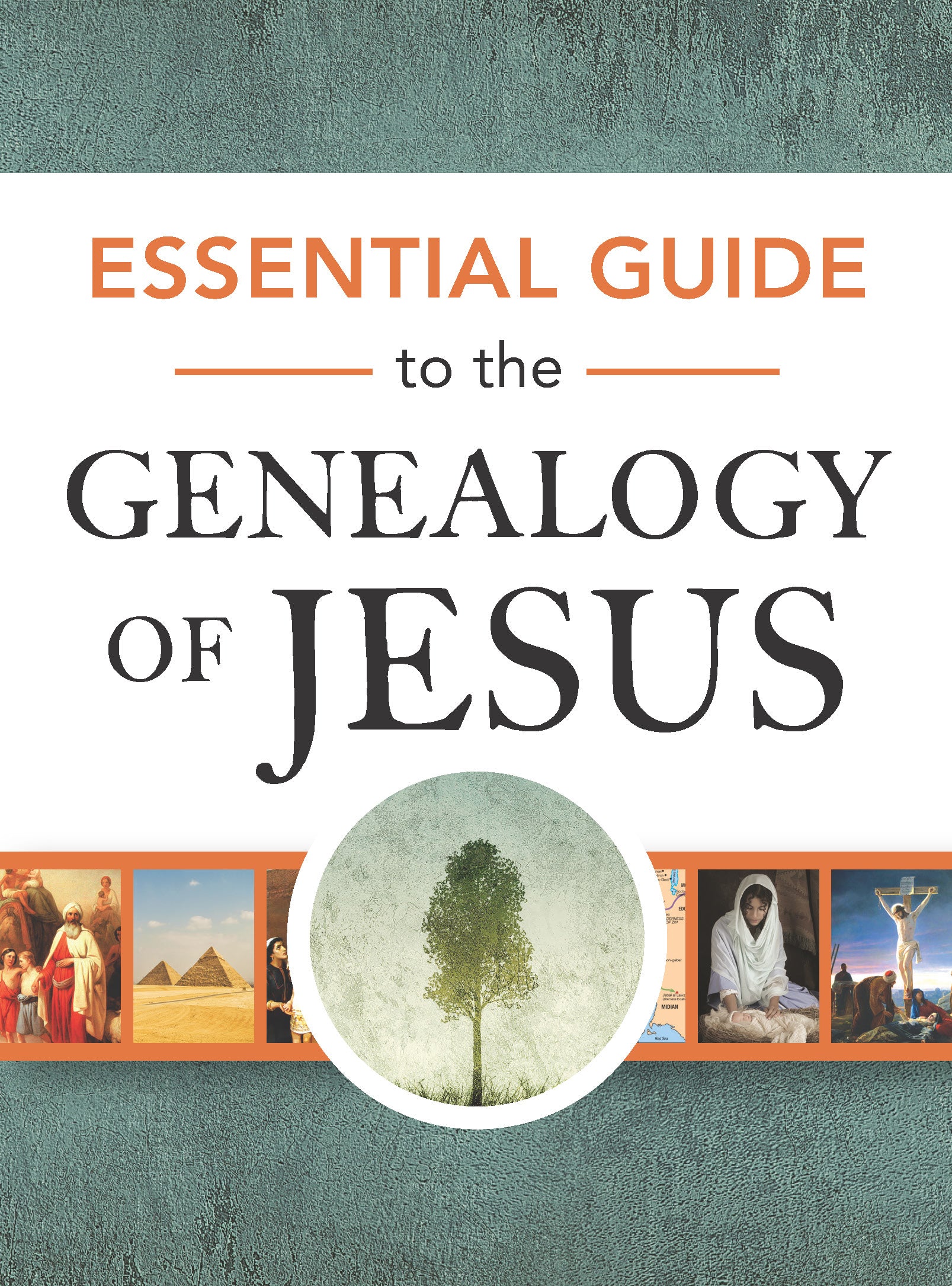 Essential Guide to the Genealogy of Jesus - Re-vived