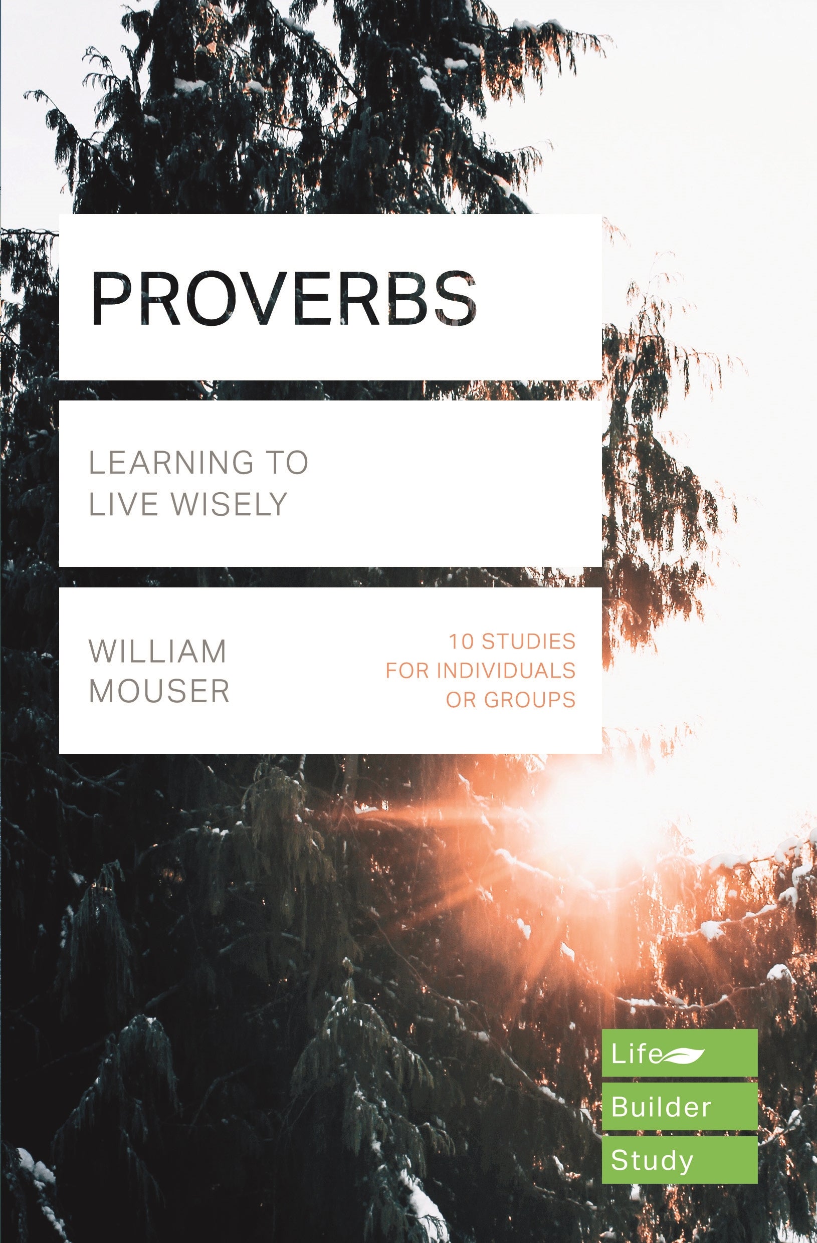 Lifebuilder: Proverbs - Re-vived