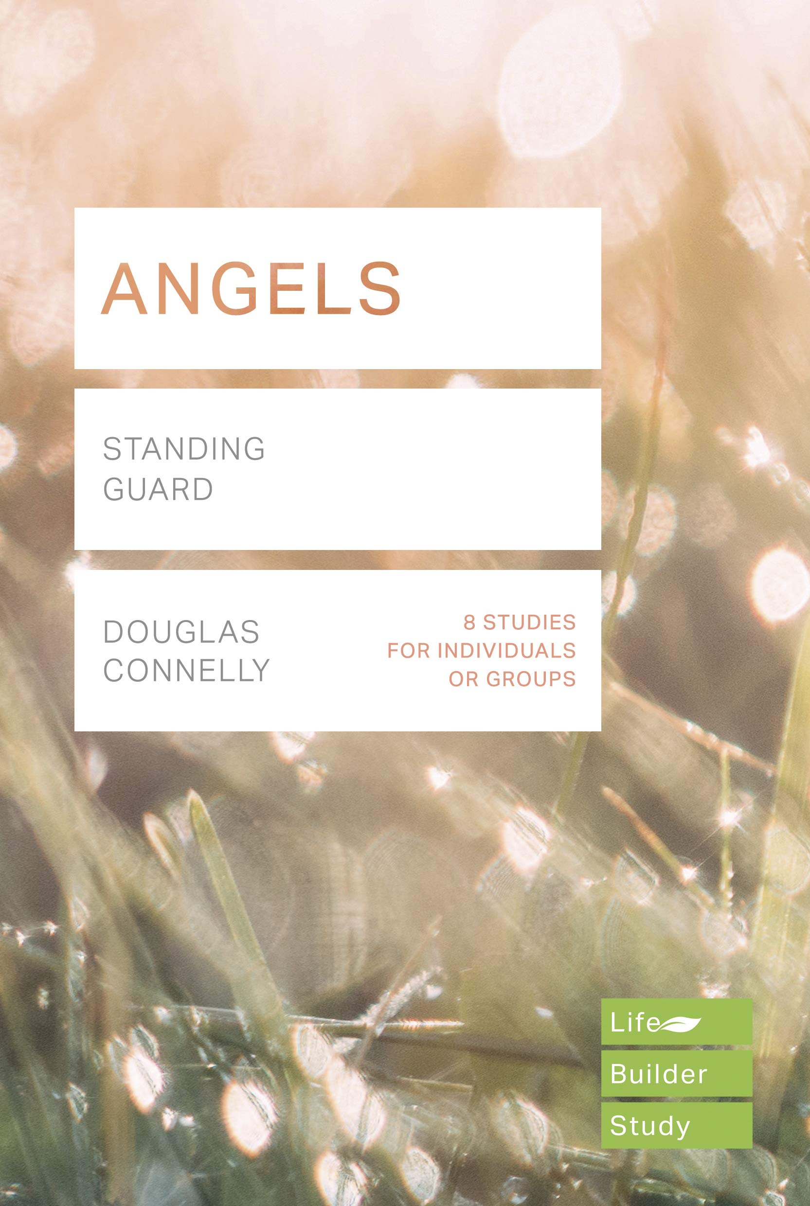 Lifebuilder: Angels - Re-vived