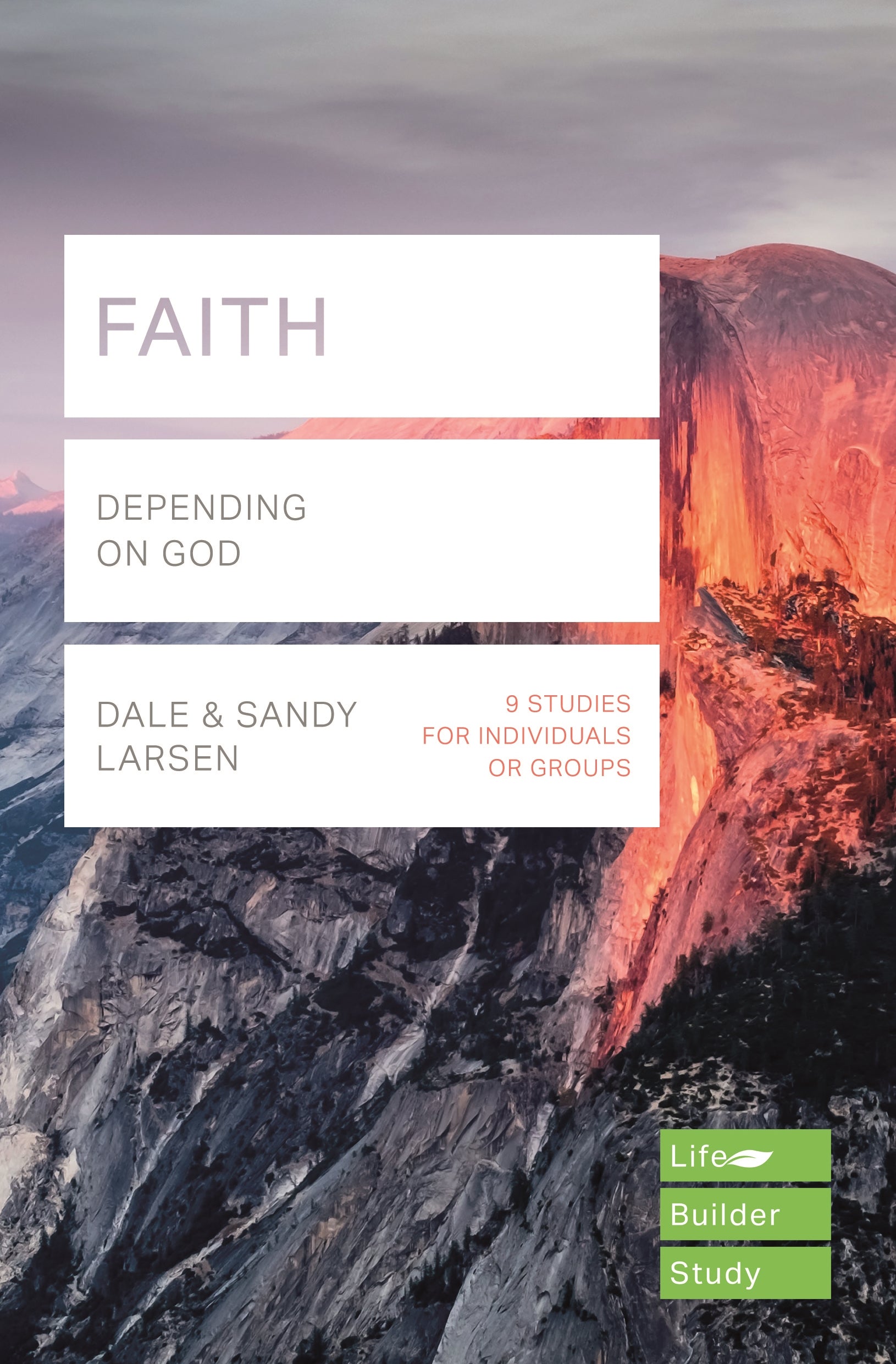 Lifebuilder: Faith - Re-vived