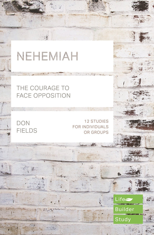 LifeBuilder: Nehemiah - Re-vived