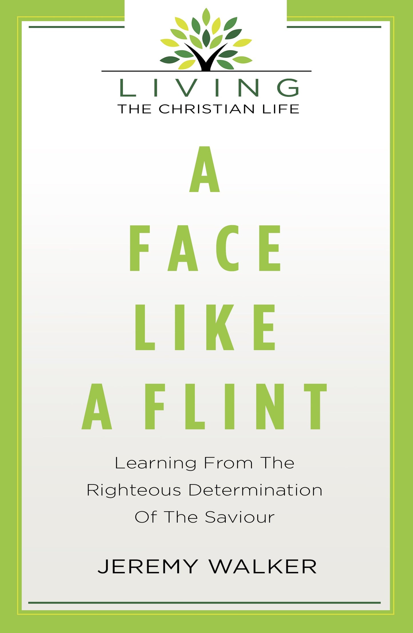 A Face Like Flint - Re-vived