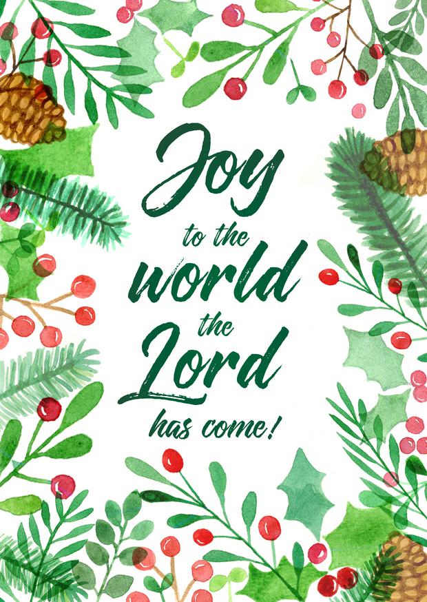 Joy to the World Christmas Cards (pack of 6) - Re-vived