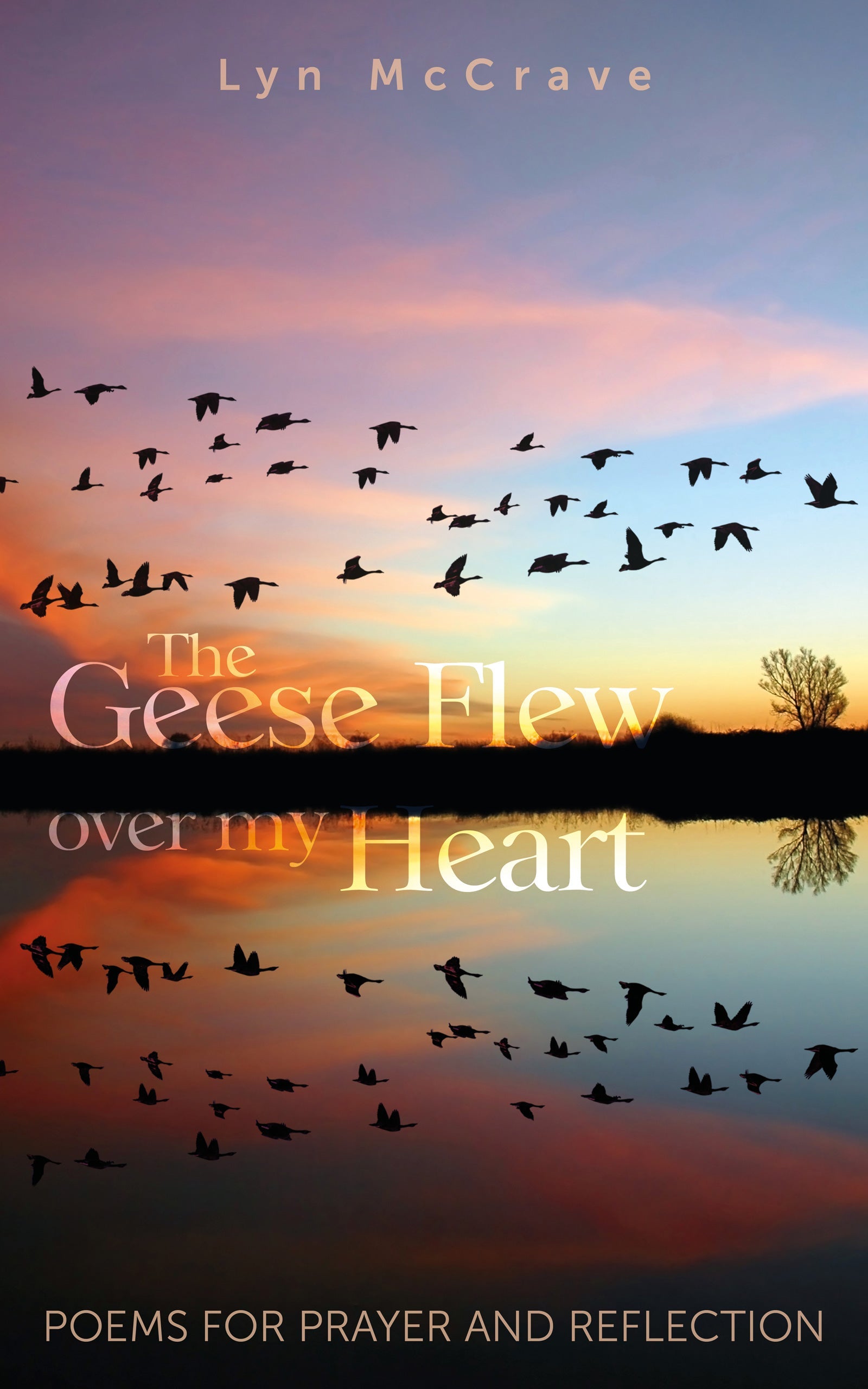 The Geese Flew Over My Head - Re-vived
