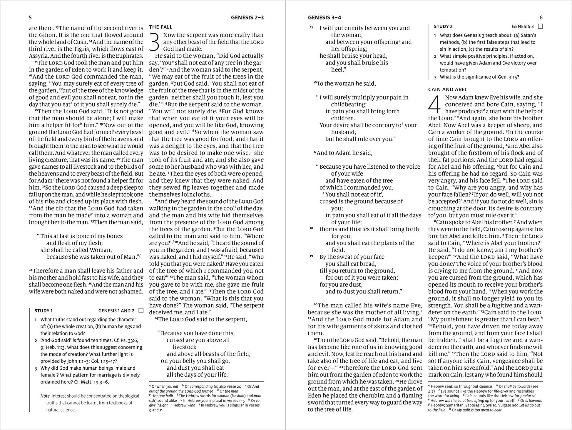 ESV Search the Scriptures Bible - Re-vived