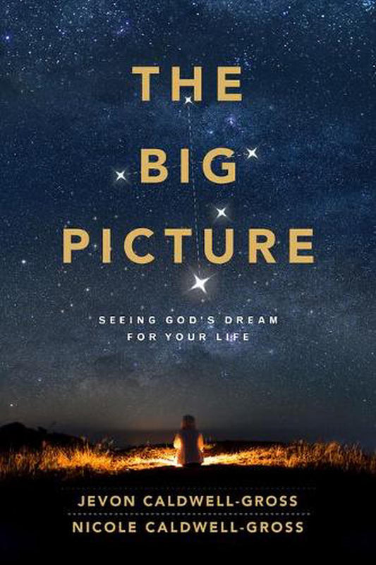 The Big Picture - Re-vived
