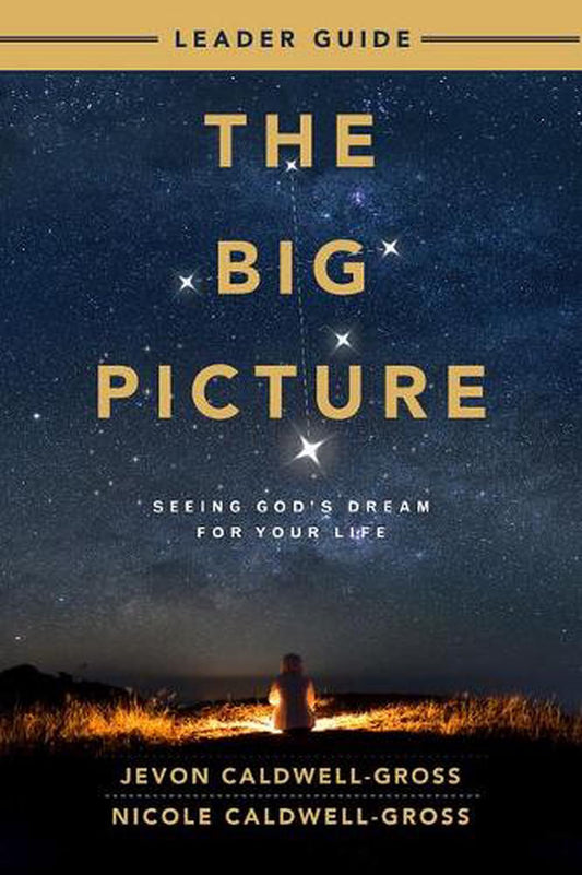 The Big Picture Leader Guide - Re-vived