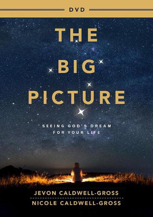 The Big Picture DVD - Re-vived