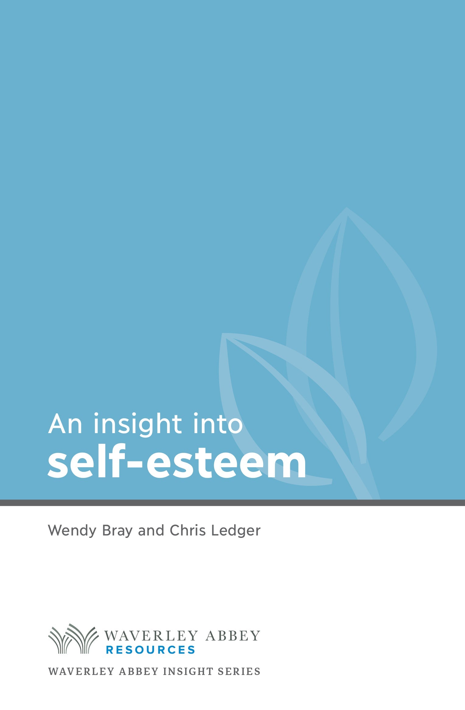 Insight into Self Esteem - Re-vived