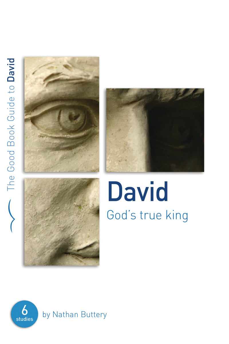 David: God's True King (Good Book Guide) - Re-vived