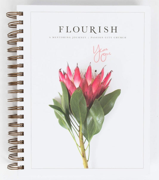 Flourish: A Mentoring Journey, Year One - Re-vived