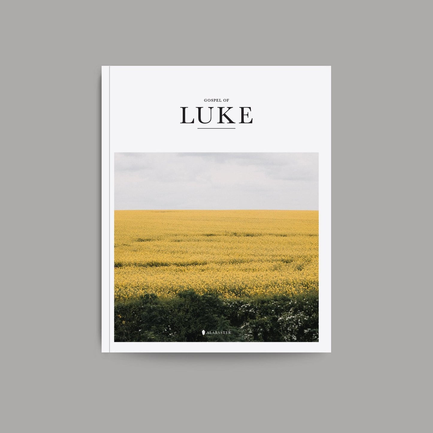 Gospel of Luke - Re-vived