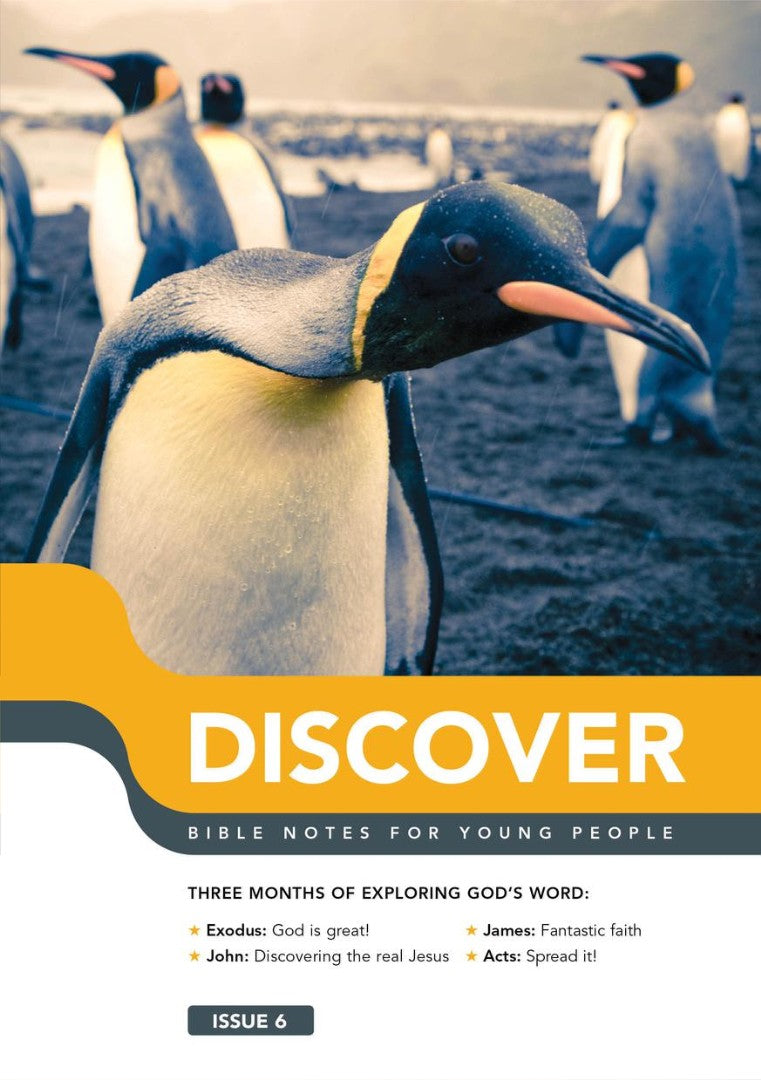 Discover: Book 6 - Re-vived