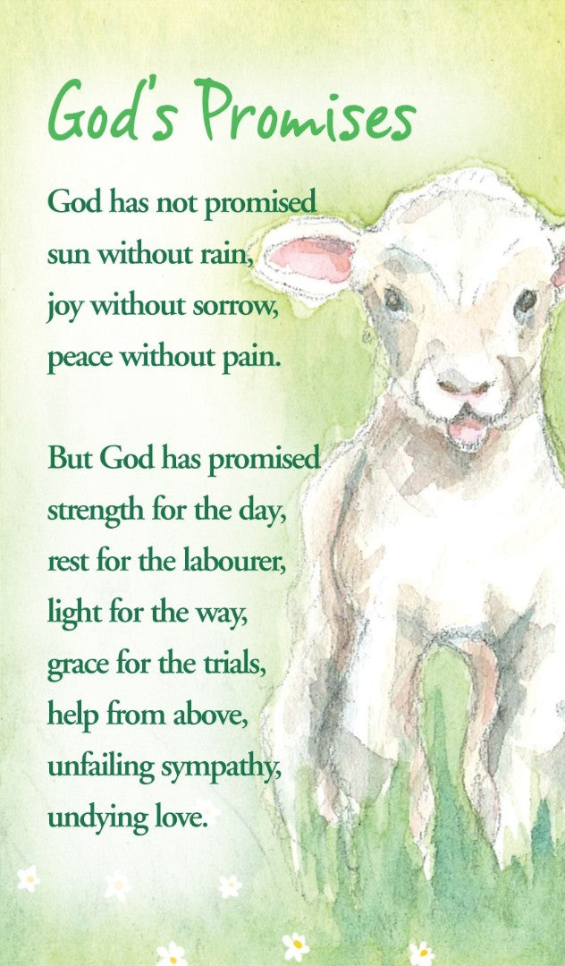 Gods Promises Prayer Card (pack of 20) - Re-vived