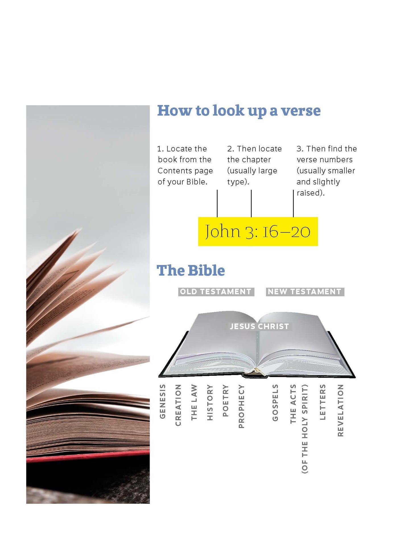 Every Day With Jesus For New Christians - Re-vived