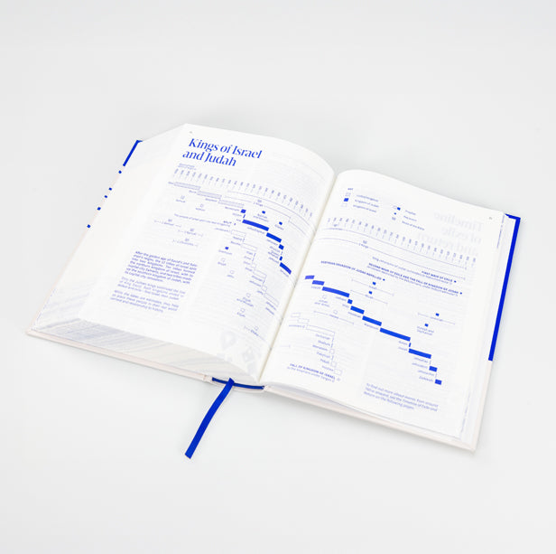 NRSVue Everyday Faith Bible - Re-vived