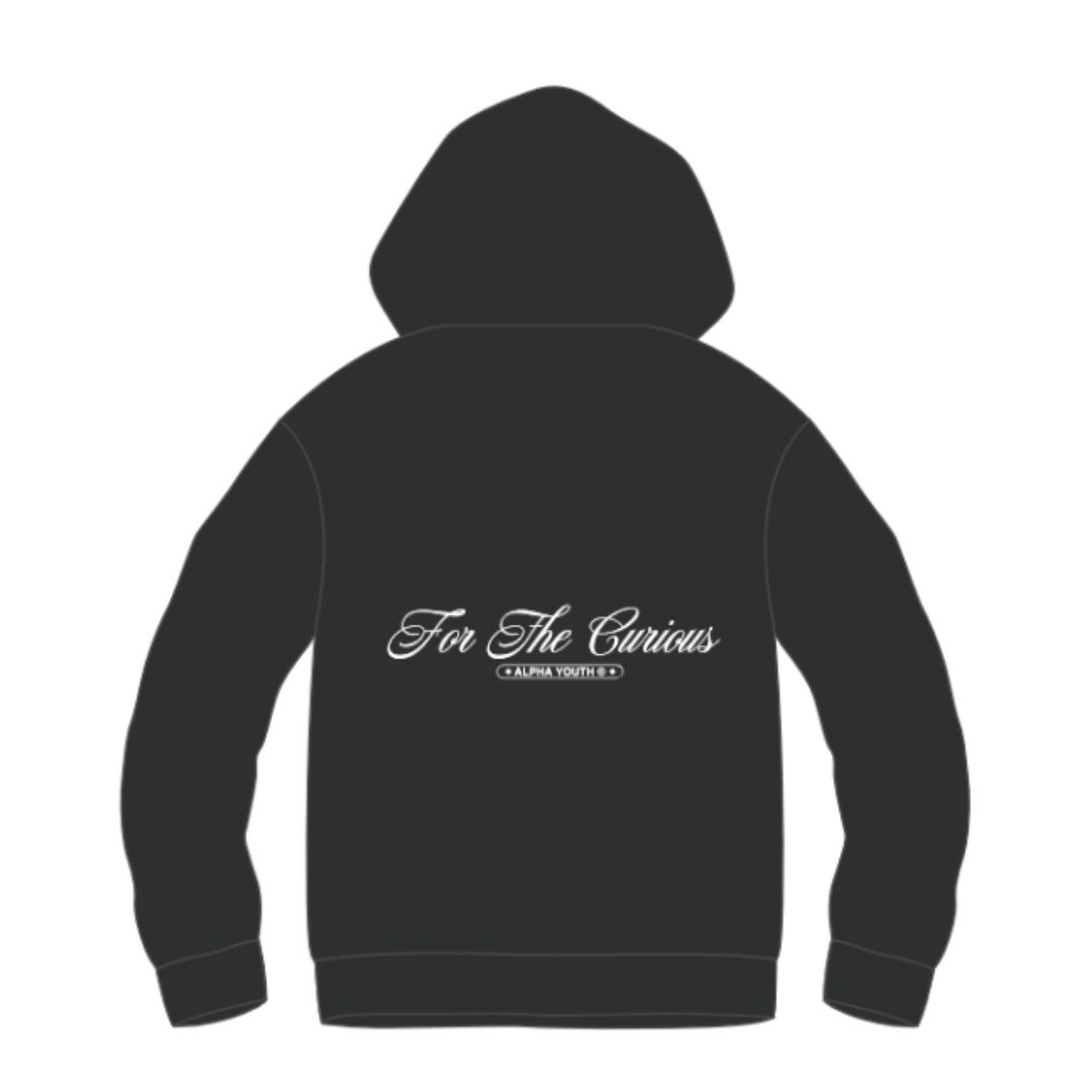 YOUTH ALPHA - Hoodie - Washed Black (For the Curious)