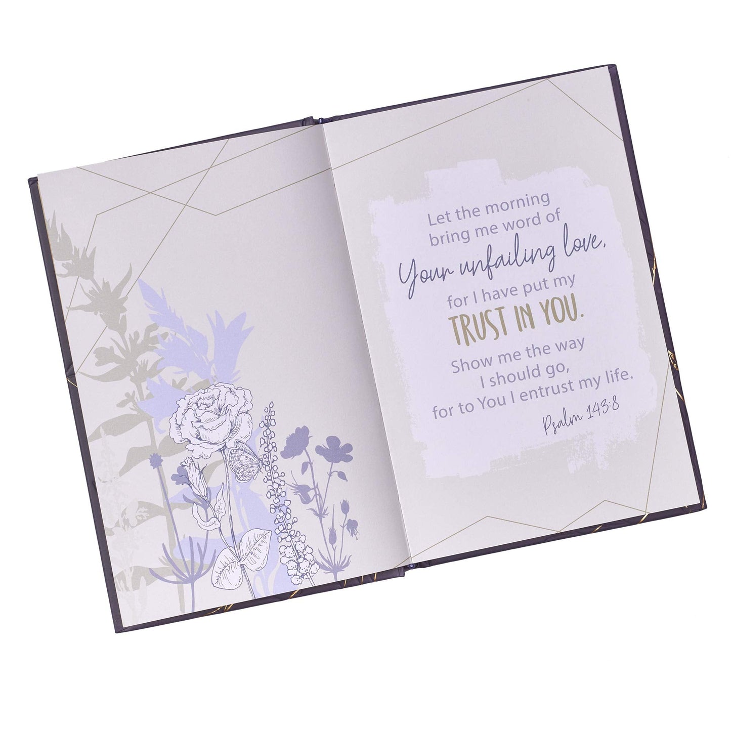 Life Lists for Women - Re-vived