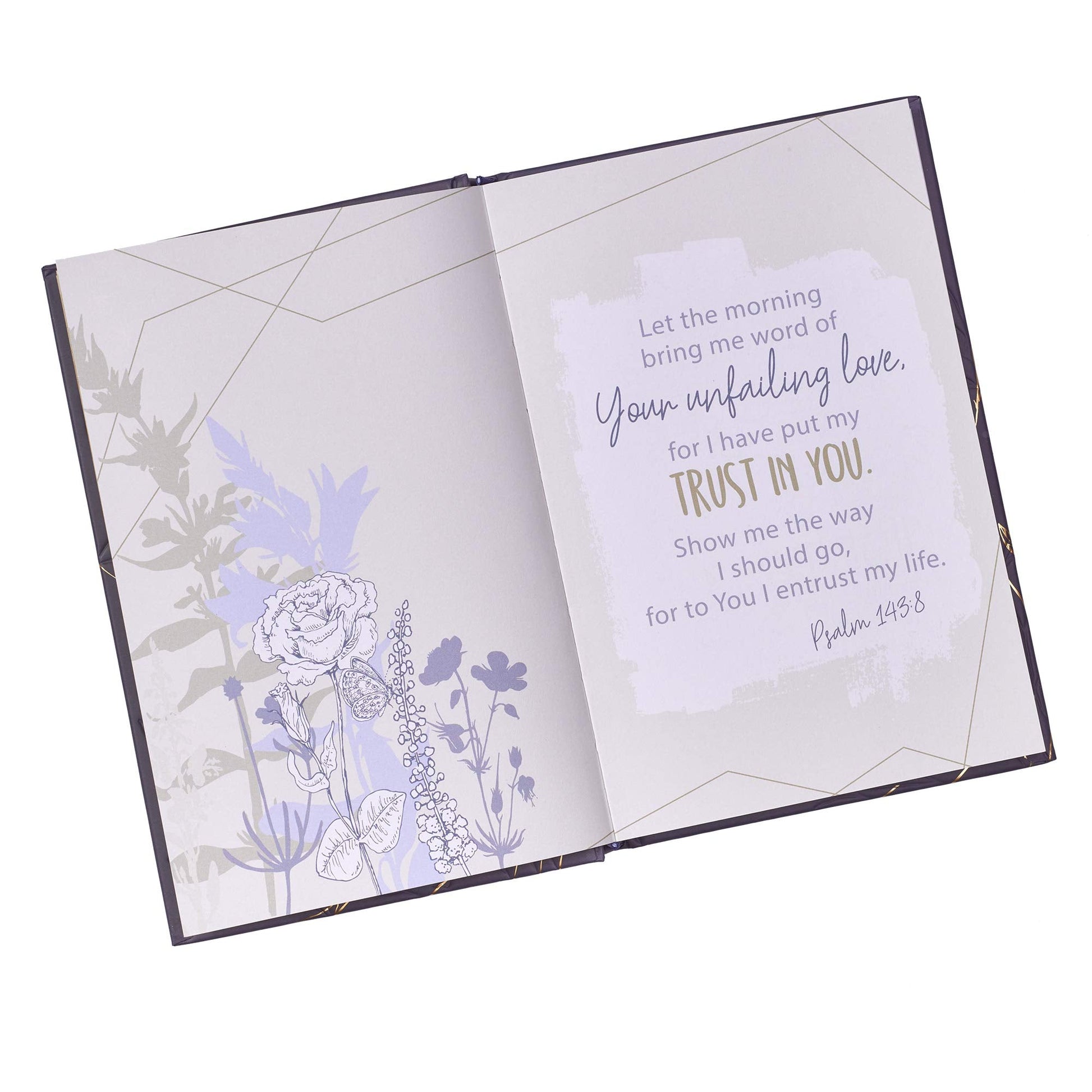 Life Lists for Women - Re-vived