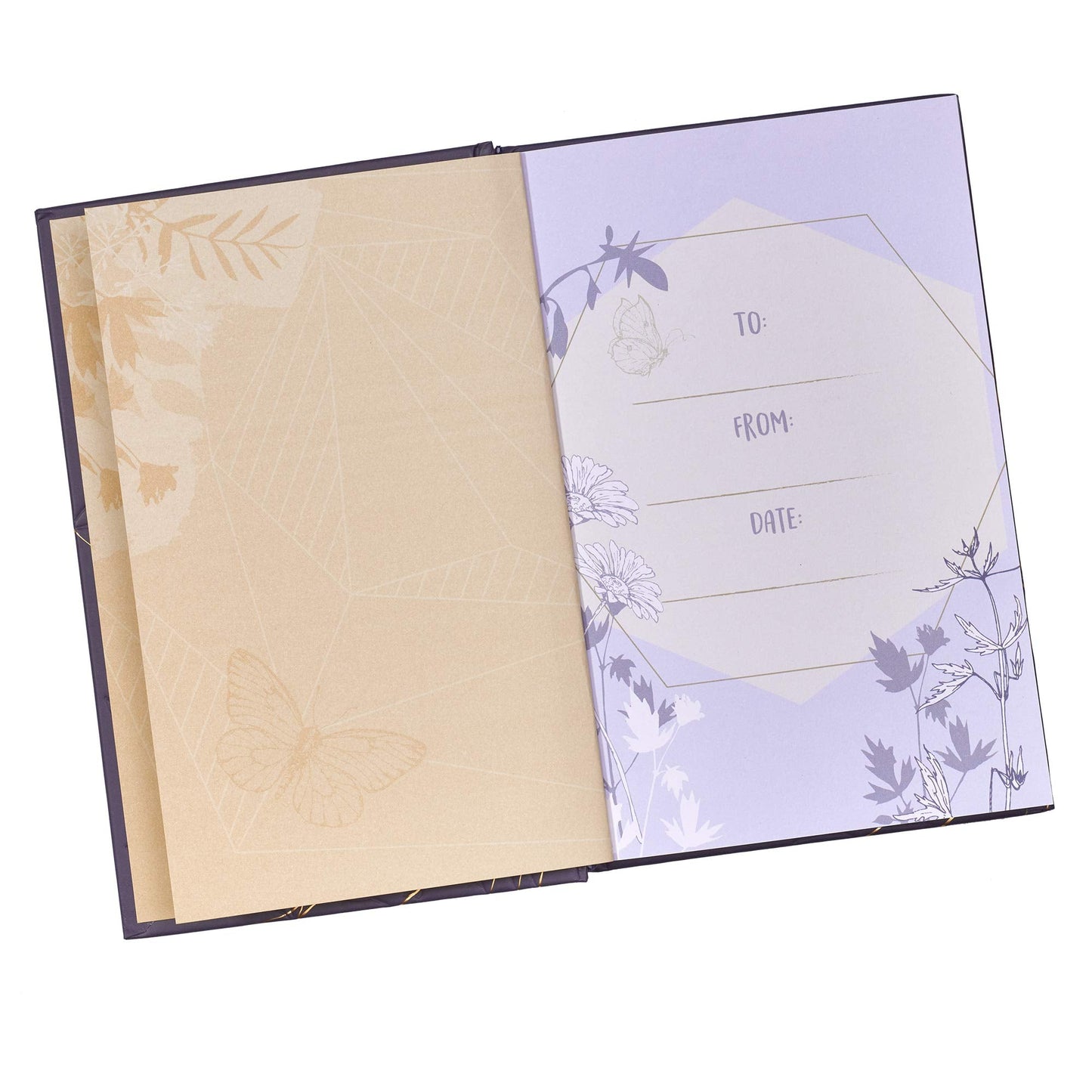 Life Lists for Women - Re-vived
