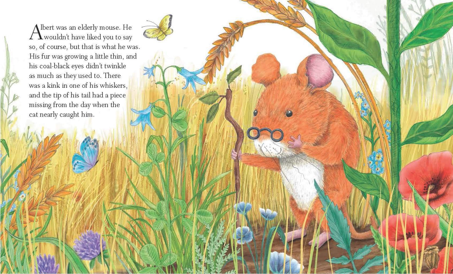 Albert and The Big Boat - A Noah's Ark Story - Re-vived