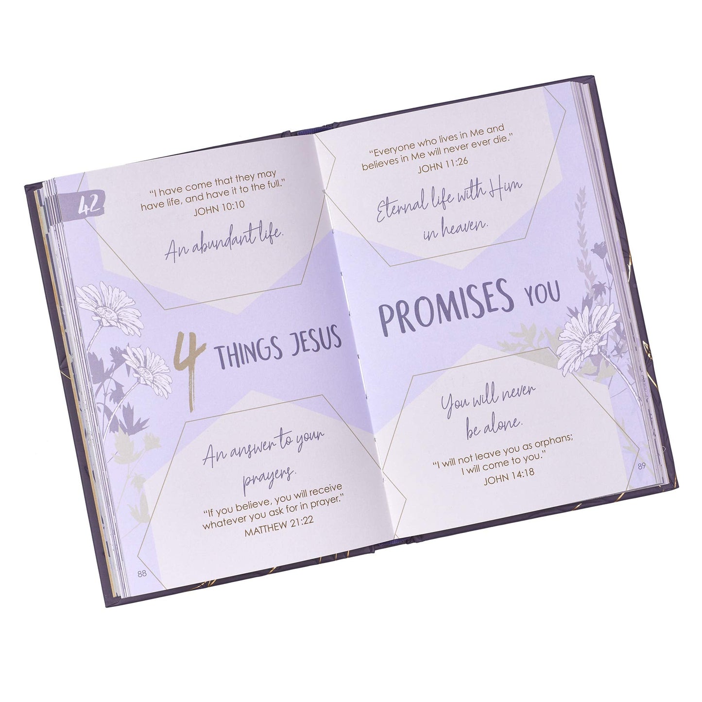 Life Lists for Women - Re-vived