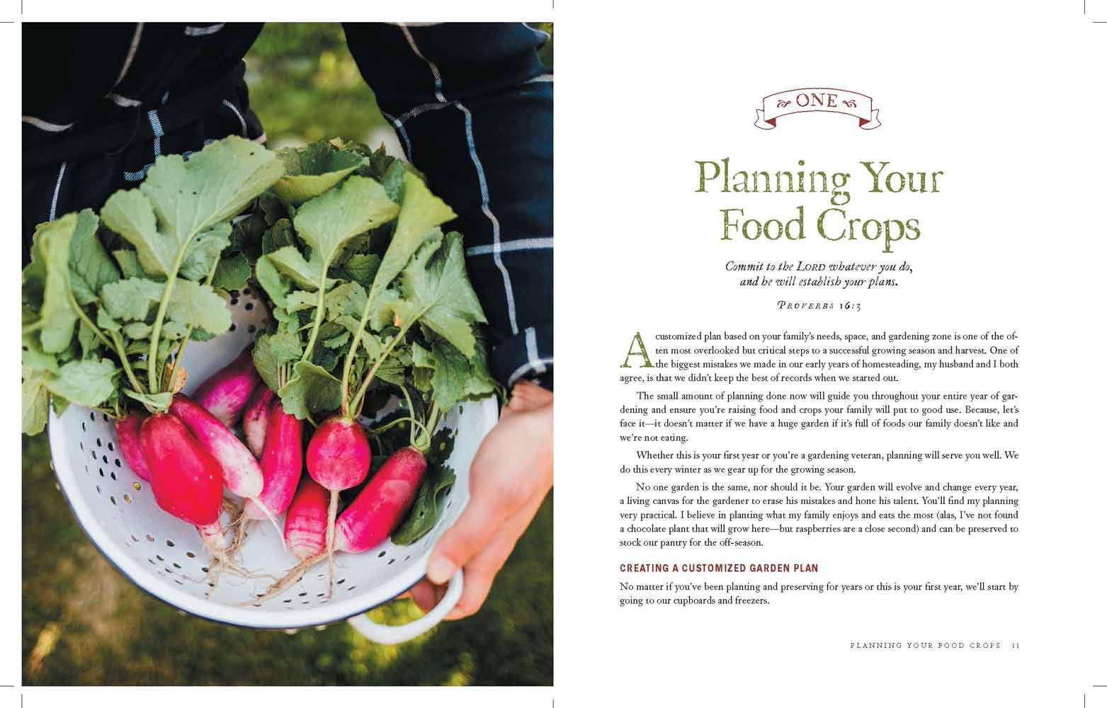 The One-Year Garden Plan - Re-vived