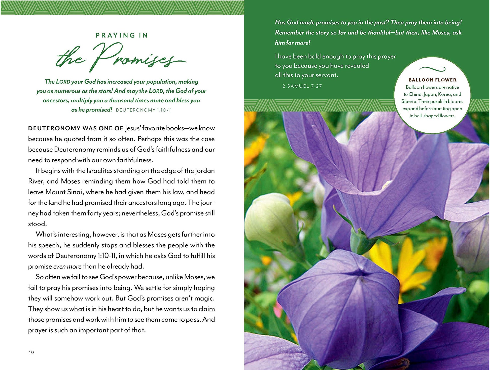 Flourish: Devotions for a Well-Tended Heart - Re-vived