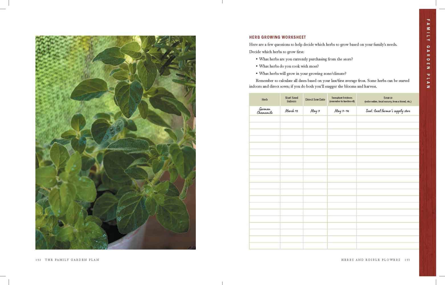 The One-Year Garden Plan - Re-vived