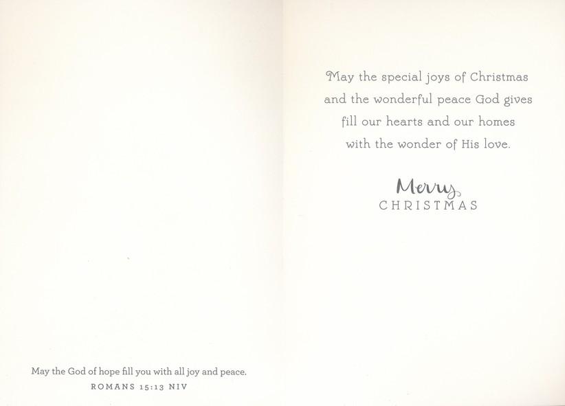Joy Boxed Christmas Cards (Box of 18)