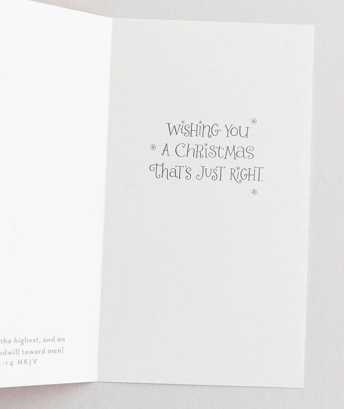 Warm and Cozy Snowflake Boxed Christmas Cards (Box of 16)