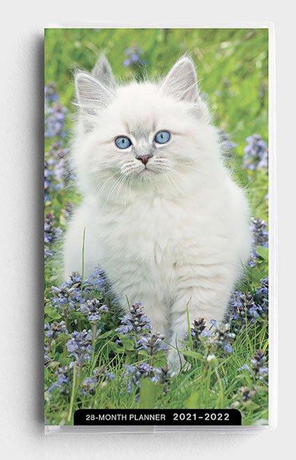 2021 28-Month Planner: Kittens